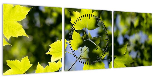 Slika - javorovo lišće (sa satom) (90x30 cm)