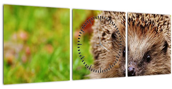 Slika ježa (sa satom) (90x30 cm)