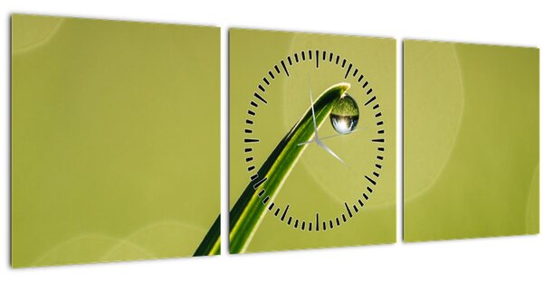Slika kapi vode na travi (sa satom) (90x30 cm)