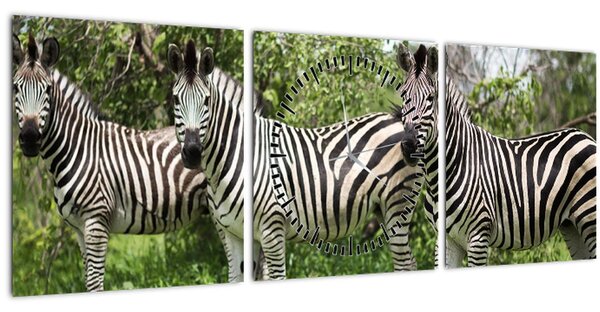 Slika sa zebrama (sa satom) (90x30 cm)