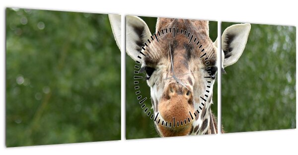 Slika žirafe (sa satom) (90x30 cm)