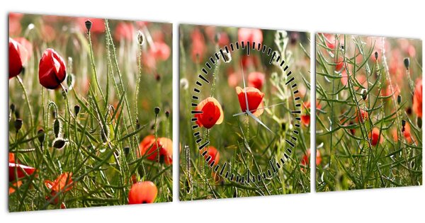 Slika procvalih makova (sa satom) (90x30 cm)