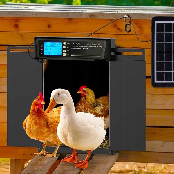 Elektronska solarna avtomatska lcd vrata za kokošnjak 38x28cm črna - dexxer