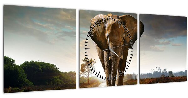 Slika slona (sa satom) (90x30 cm)