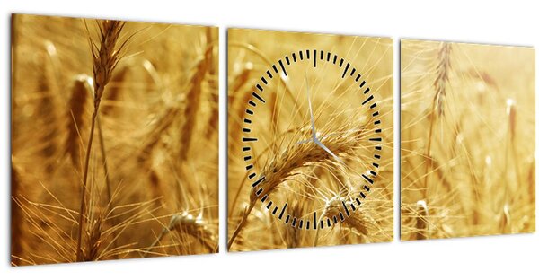 Slika - Klasovi žita (sa satom) (90x30 cm)