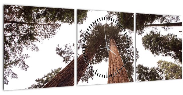 Slika - Pogled kroz krošnje stabala (sa satom) (90x30 cm)