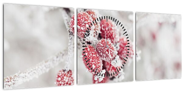 Slika - Zamrznjeno sadje (sa satom) (90x30 cm)
