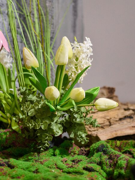 Sinsay - Ukrasna biljka – tulipani