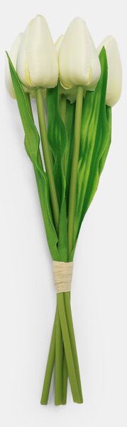 Sinsay - Ukrasna biljka – tulipani