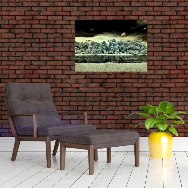 Slika vodene površine (70x50 cm)
