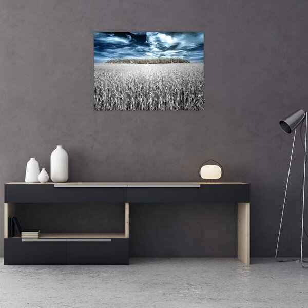 Slika polja (70x50 cm)