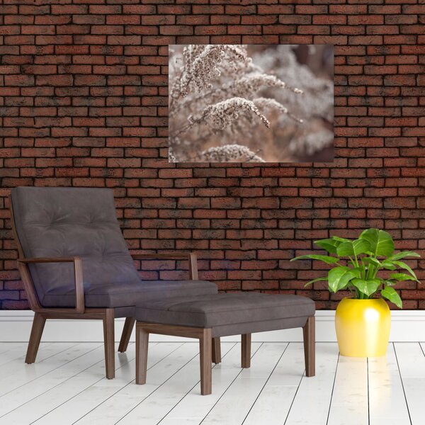 Slika biljaka (70x50 cm)