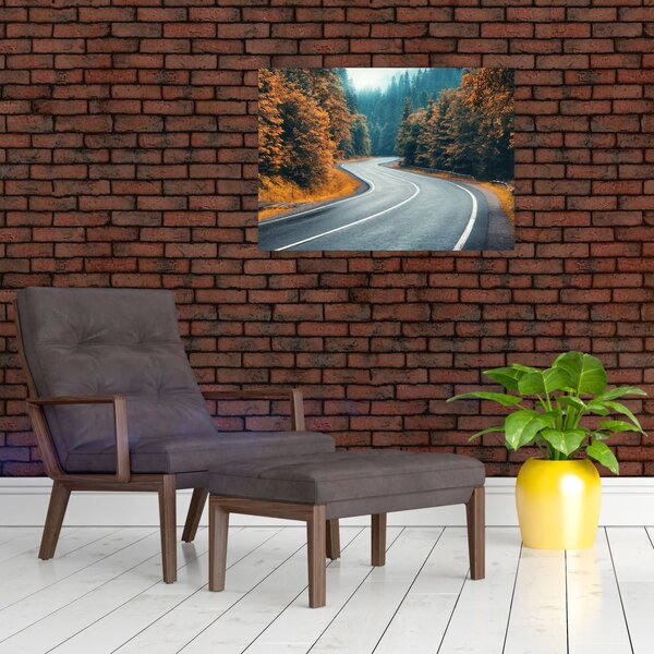 Slika - Vijugava cesta (70x50 cm)