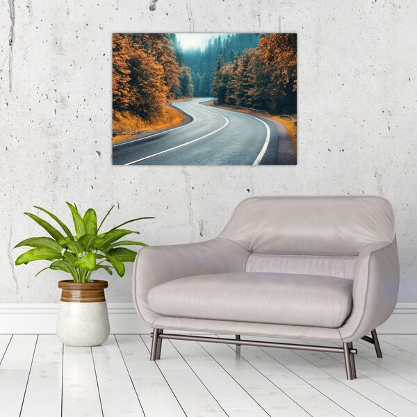 Slika - Vijugava cesta (70x50 cm)