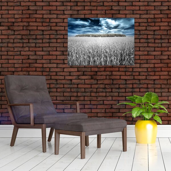 Slika polja (70x50 cm)