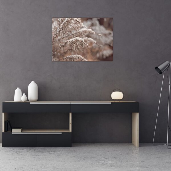 Slika biljaka (70x50 cm)