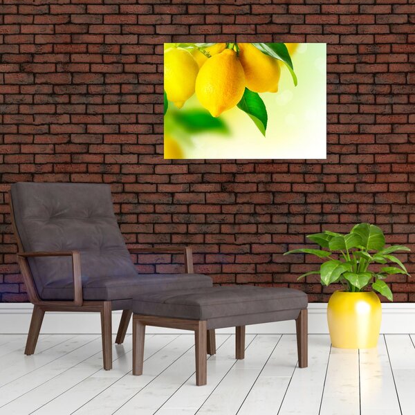 Slika limuna (70x50 cm)