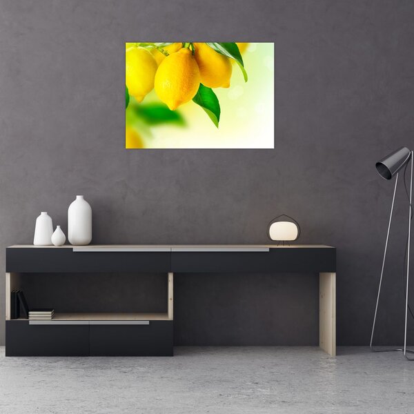 Slika limuna (70x50 cm)
