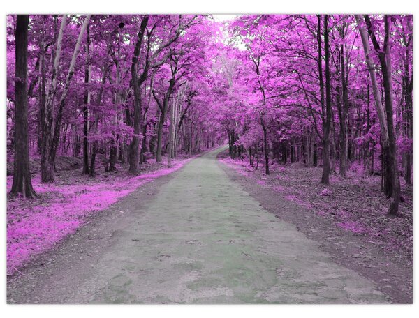 Slika - Put kroz park (70x50 cm)