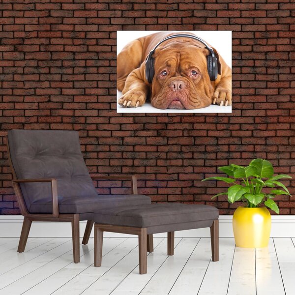 Slika psa sa slušalicama (70x50 cm)