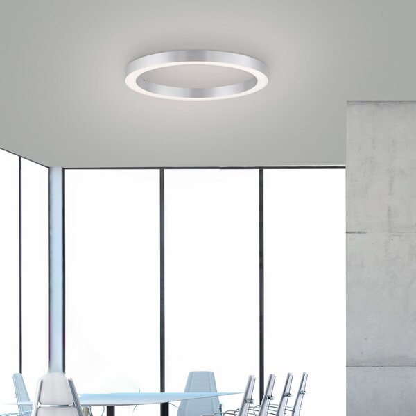 PURE LED stropna svjetiljka Lines, Ø 50 cm, srebrna, CCT, prigušiva, Sivo, Dnevni boravak/blagovaonica, Metal