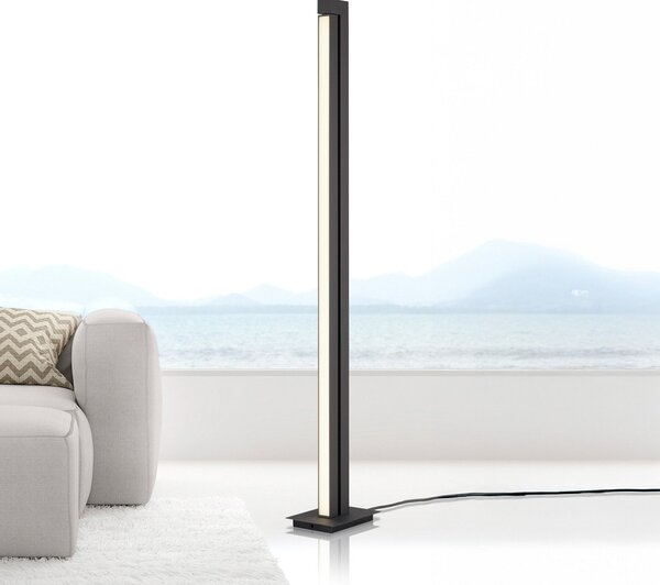 PURE Lines LED podna lampa, antracit, daljinski upravljač, 140 cm, prigušiva, Crno, Dnevni boravak/blagovaonica, Metal