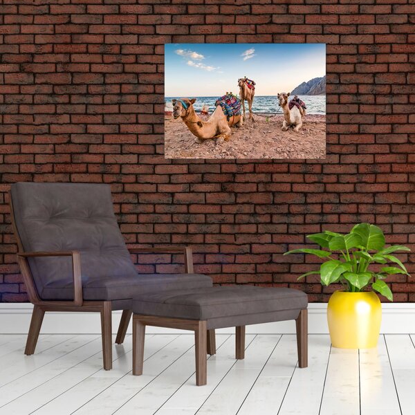 Slika deva (70x50 cm)