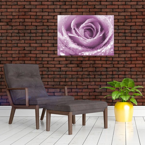 Slika detalja cvijeta ruže (70x50 cm)