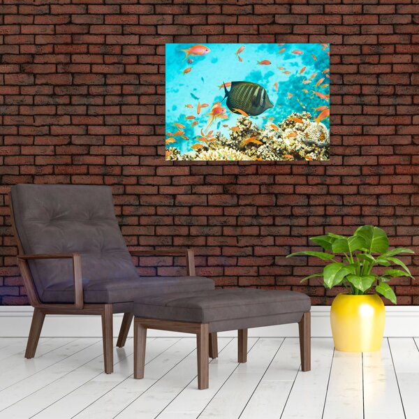 Slika podmorskog svijeta (70x50 cm)