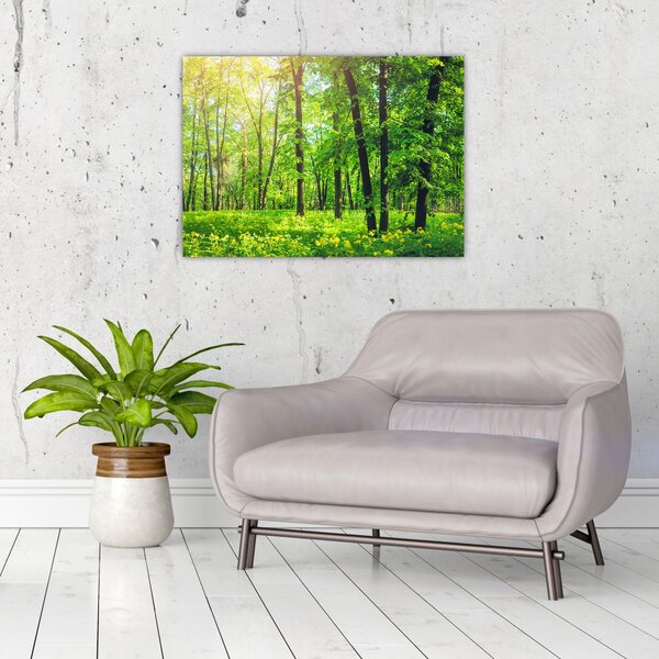 Slika - Proljetna listopadna šuma (70x50 cm)