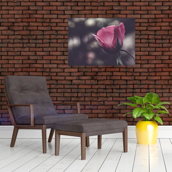 Slika - Detalj cvijeta ruže (70x50 cm)