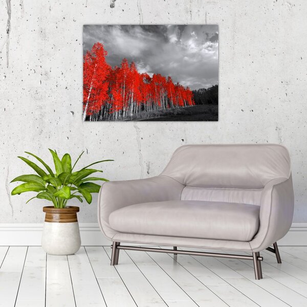 Slika - Drveće u jesenskim bojama (70x50 cm)