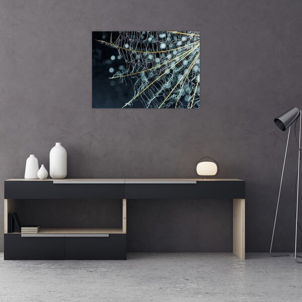 Slika - Cvijet s paučinom (70x50 cm)