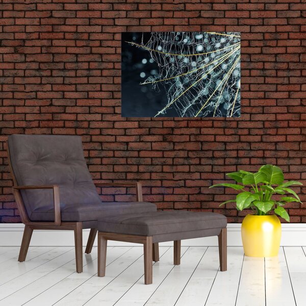 Slika - Cvijet s paučinom (70x50 cm)