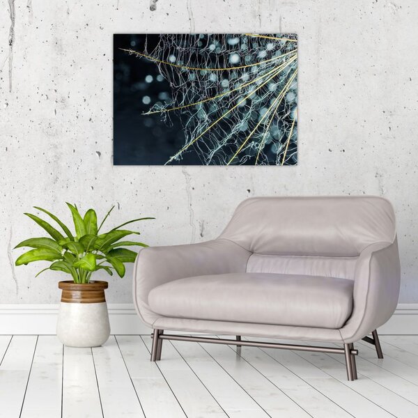 Slika - Cvijet s paučinom (70x50 cm)