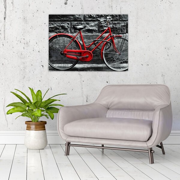 Slika - Povijesni bicikl (70x50 cm)