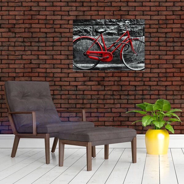 Slika - Povijesni bicikl (70x50 cm)