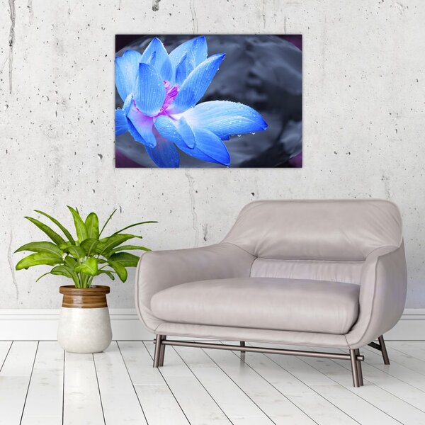 Slika detalj cvijeta (70x50 cm)