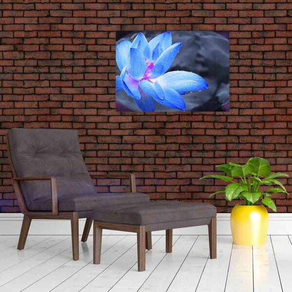 Slika detalj cvijeta (70x50 cm)