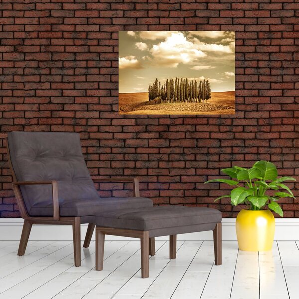 Slika proplanka (70x50 cm)