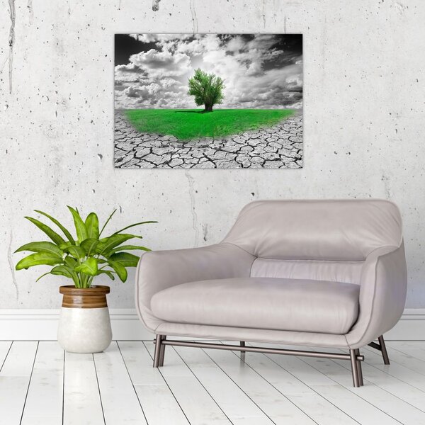 Slika - Djelić prirode u gradu (70x50 cm)