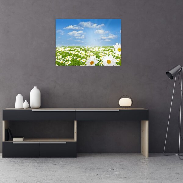 Slika procvjetale livade s tratinčicama (70x50 cm)