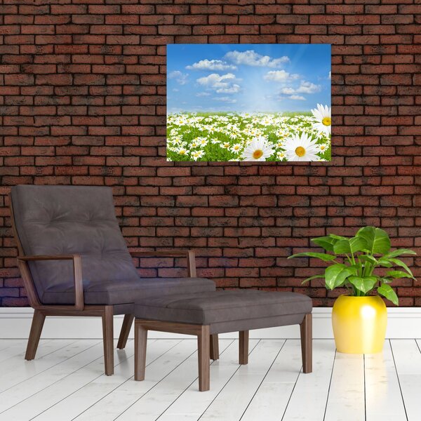 Slika procvjetale livade s tratinčicama (70x50 cm)