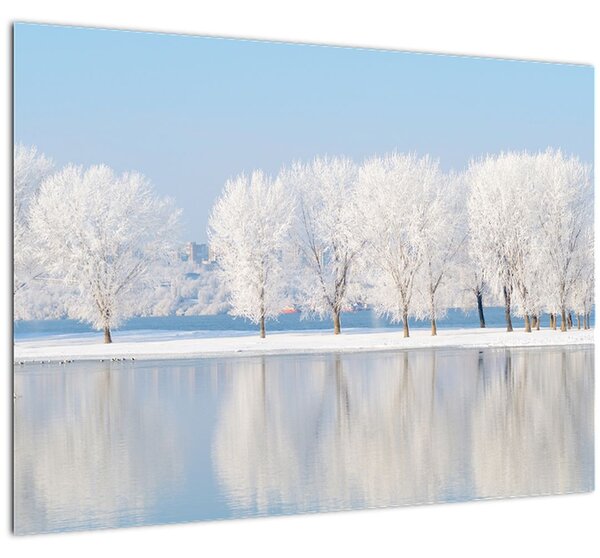 Staklena slika zimskog krajolika (70x50 cm)