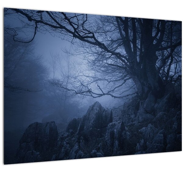 Staklena slika tamne šume (70x50 cm)