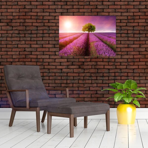 Staklena slika polja s lavandom (70x50 cm)