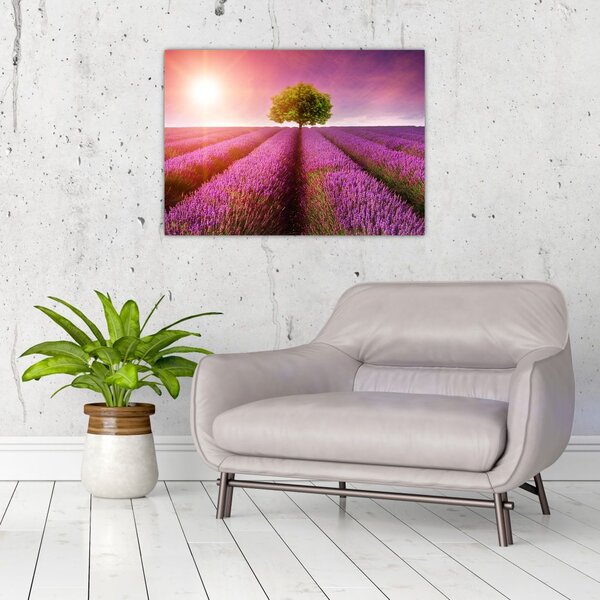 Staklena slika polja s lavandom (70x50 cm)
