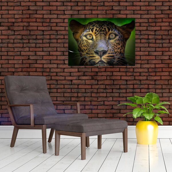 Staklena slika - Portret leoparda, Šri Lanka (70x50 cm)