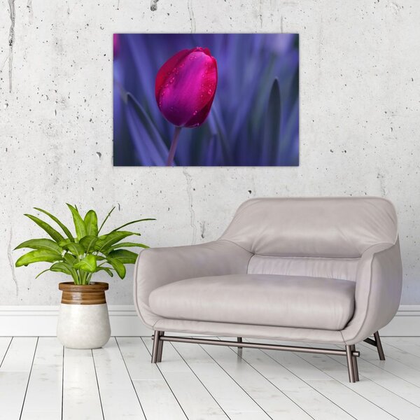 Staklena slika pupoljka tulipana (70x50 cm)