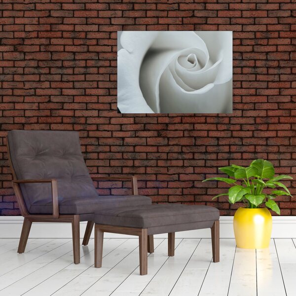 Slika - Bijela ruža (70x50 cm)